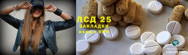 ПСИЛОЦИБИНОВЫЕ ГРИБЫ Абдулино