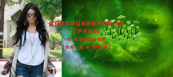 ПСИЛОЦИБИНОВЫЕ ГРИБЫ Абдулино