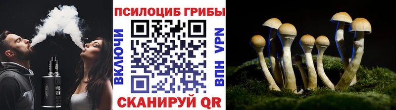 Псилоцибиновые грибы Cubensis Сольцы