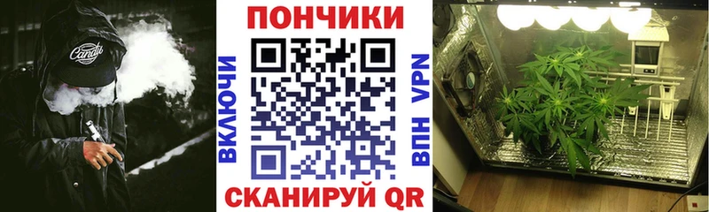 МАРИХУАНА конопля  Сольцы 